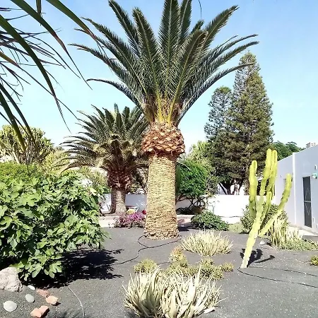 Casa Marilyn * Playa Blanca